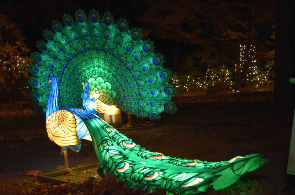 Bronx Zoo Holiday Lights Officially Open for the 2023 Holiday Season